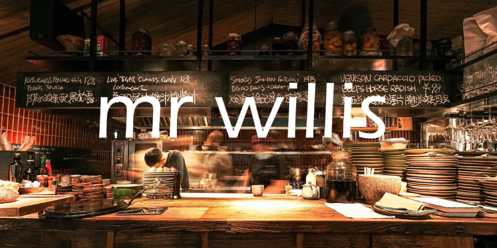 mr willis